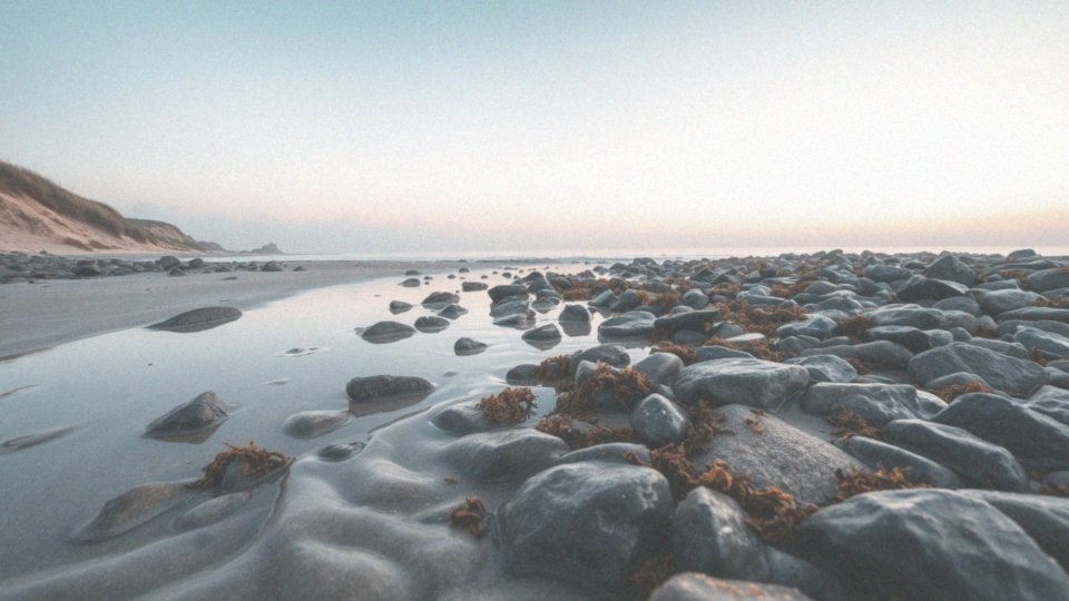 Jakie znaczenie mają oceany dla różnorodności biologicznej na Ziemi?