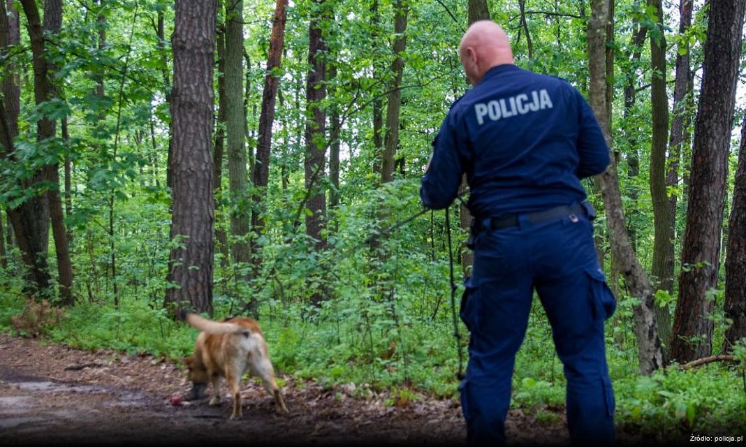 Ostrzeżenie przed oszustwami przy wynajmie lokali w Łęcznej