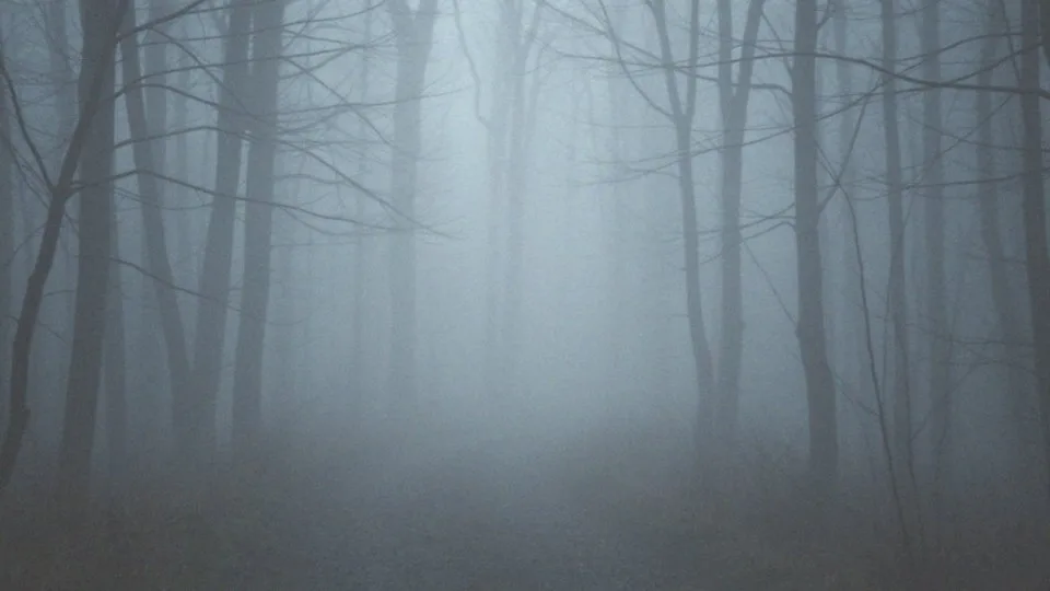 Mgła mózgowa – co to jest i jakie są jej objawy?