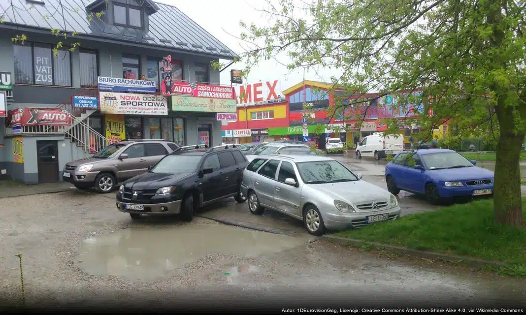 Dofinansowanie dla programu asystencji osób z niepełnosprawnościami w Łęcznej