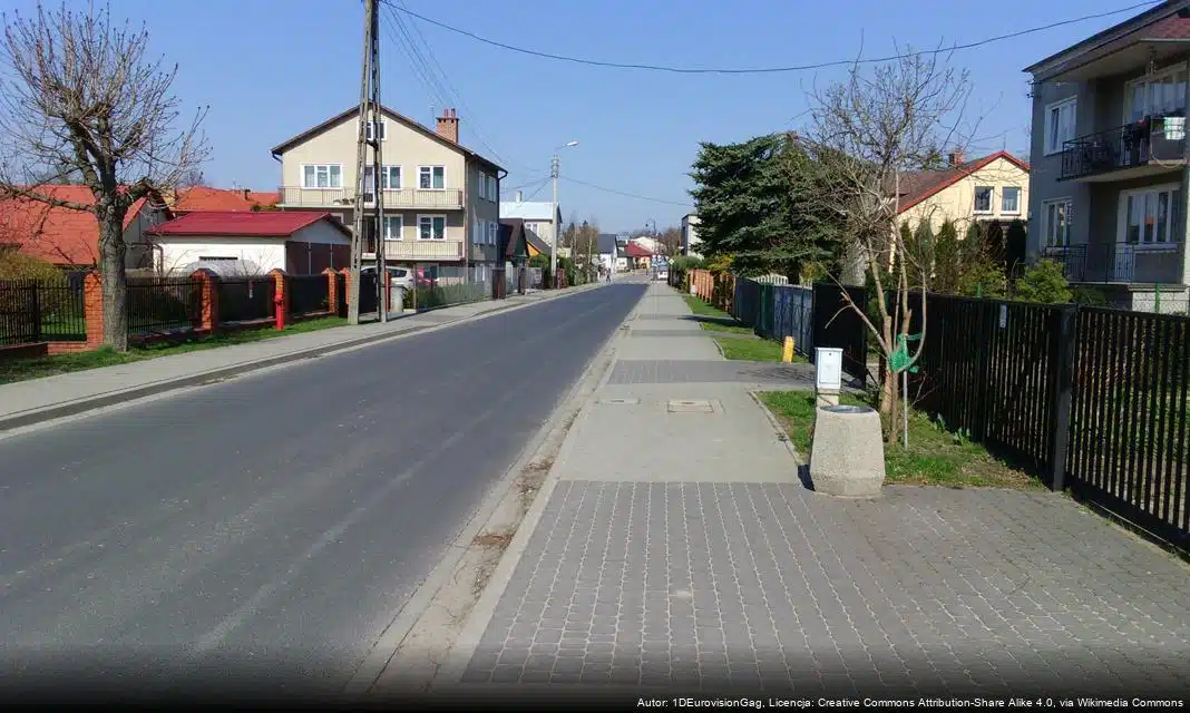 Rozstrzyganie przetargu na sprzedaż samochodu w Łęcznej